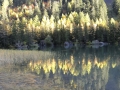 derborence_51