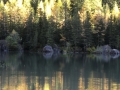 derborence_52