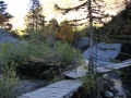 derborence_58