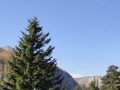 derborence_63
