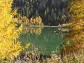 derborence_64