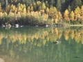 derborence_65