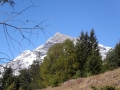 derborence_76